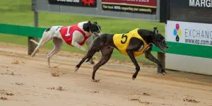 Titan Blazer secures deserved Mt Gambier Cup group race win
