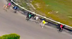 Wheel And Go weakening in Carnival Chase betting despite being fastest finalist