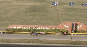 Hardaway Ranger proves too strong at Goulburn Friday night