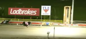 Shapur wins at Bulli
