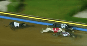 The Meadows National Sprint Championship Final Replay - Saige Tenniele (1st)