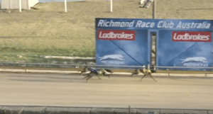 2023 Richmond MIllion Dollar Chase Regional Final - Nad Al Sheba