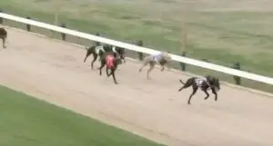 Clive's Chance