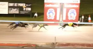 Dragging Boots wins at Maitland