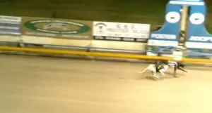 Fancy A Scotch takes out Ipswich QGOLD Final