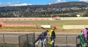 Goulburn greyhounds