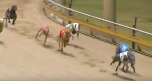 Mark Sure Can wins QGOLD Final