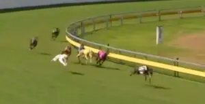 Princess Penny wins Bundaberg Oaks