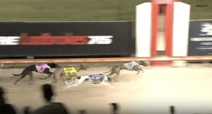 The Gardens 2023 The Macca 515m Final 220923 Race 6 Oscar Boaz 29.81