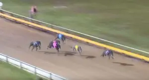 Tiggerlong Gas wins at Ballarat