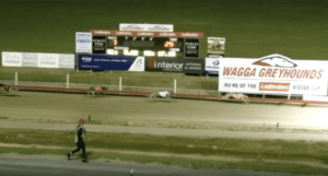 Wagga 2023 Wagge Million Dollar Chase Regional Final 525m 220923 Race 8 Kelsey Bale 29.90