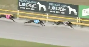 Fast And Fabio
