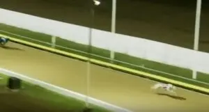 Federal Remark wins at Townsville