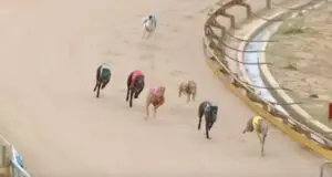 Flying Zulu