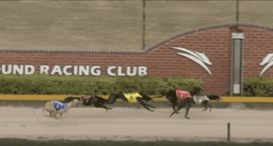 Goulburn - Fireball Final 27102023 Packham Silk 19.84