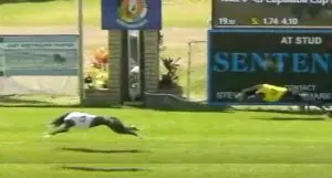 Tira Mira wins Capalaba Cup heat
