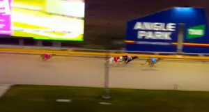 Zipping Neutron eyes Topgun Stayers with another Angle Park win