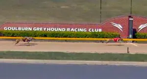 Zipping Novak gives a galloping lesson in Goulburn Cup heats