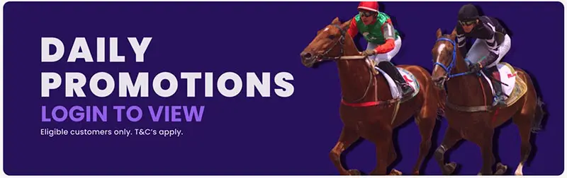 Boombet greyhound racing promotions