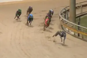 Mark Sure Can wins at Rockhampton on October 11, 2023