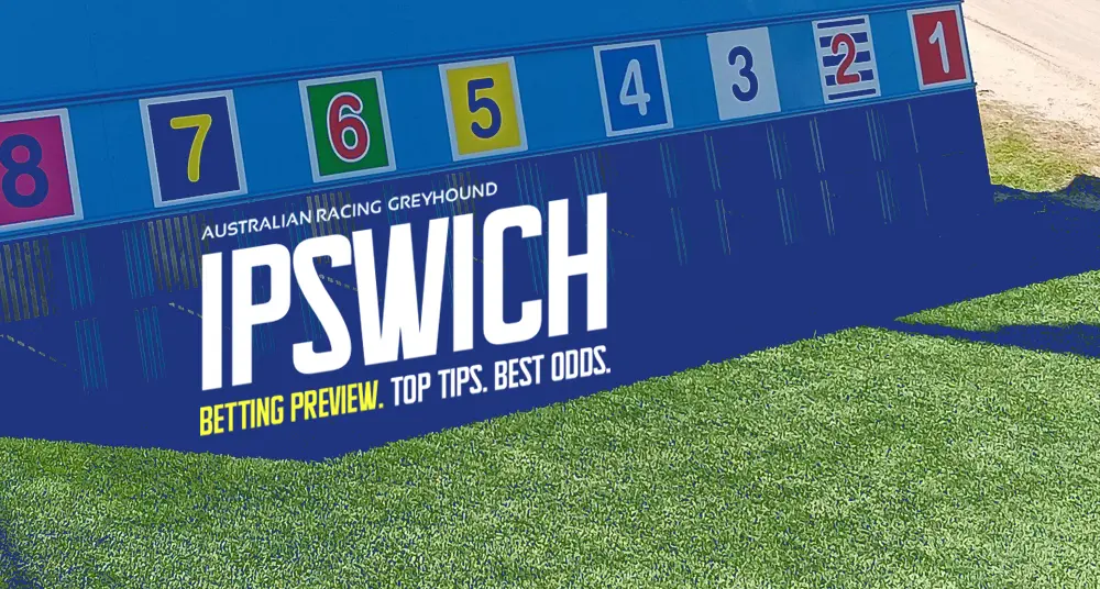 Ipswich greyhound tips and preview - April 6