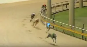 Mark Sure wins again at Rockhampton