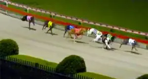 My Hepburn wins her third race from 10 attempts at Wenty