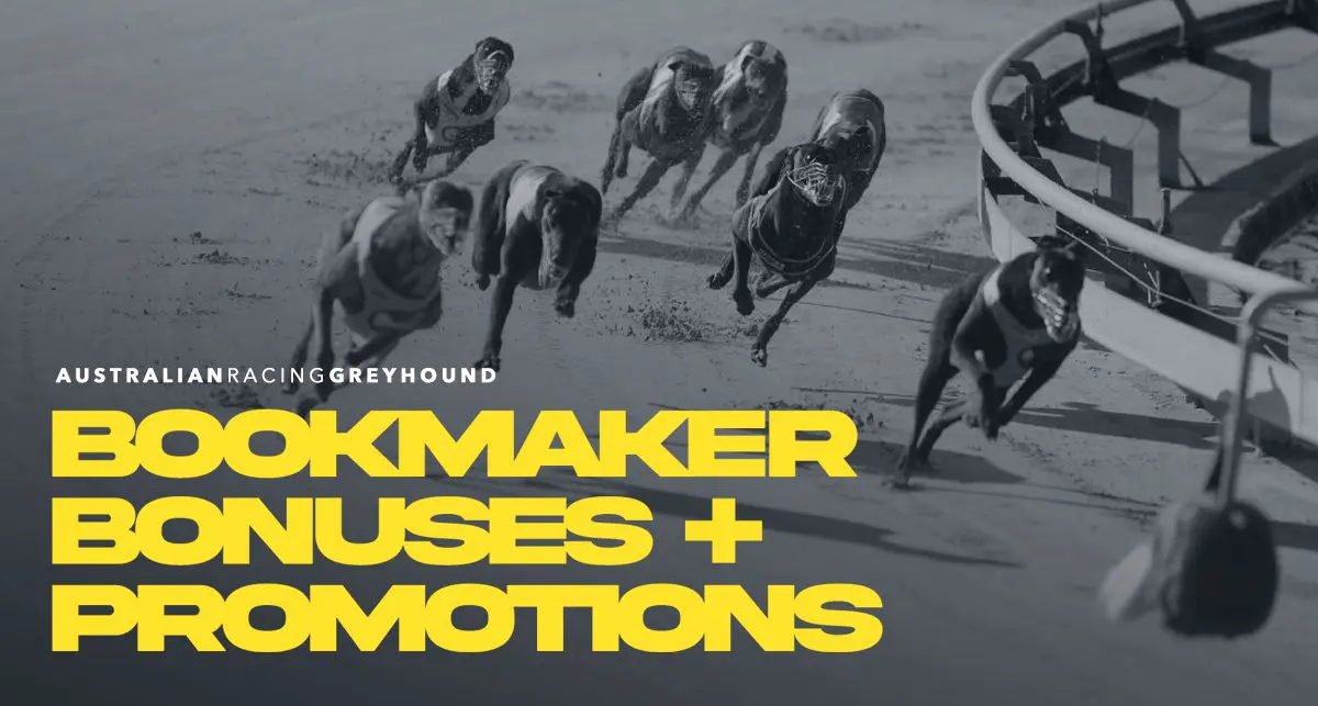 Greyhound Betting Promos