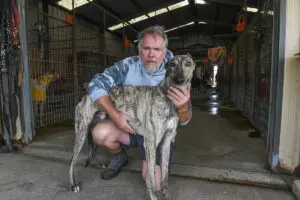 Anthony Bullock's greyhound lifetime ban overturned