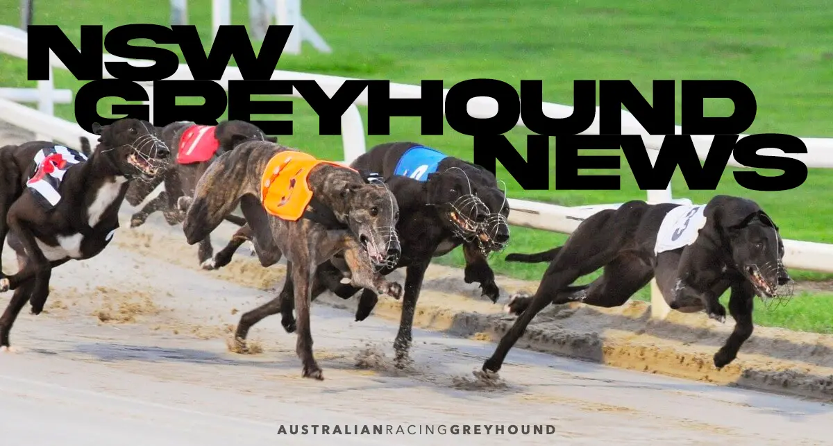 Greyhound NSW new racing dates