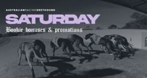 Saturday Greyhound Bookmaker Promos
