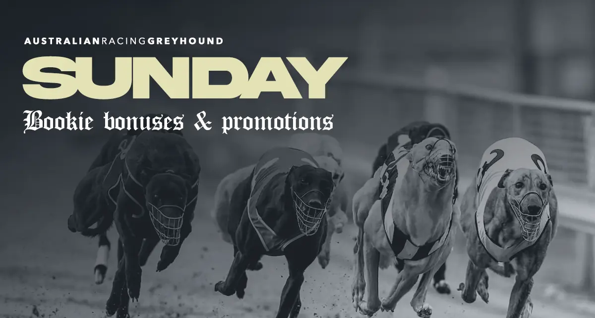 Sunday greyhound racing promotions - March 31