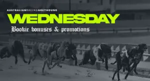 Wednesday greyhound racing promotions - April 24