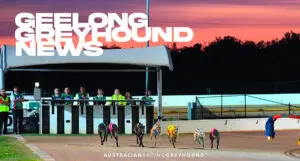 Enhancement of facilities at greyhound racing clubs in rural Victoria