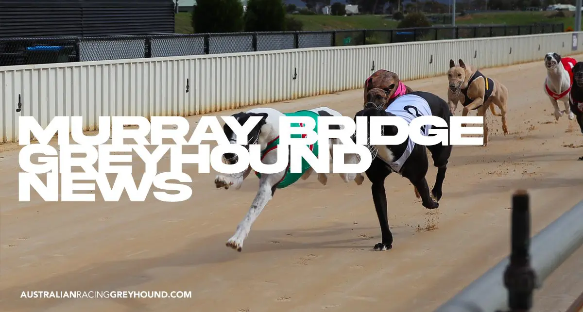 Murray Bridge Straight Track