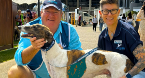 Sydney's national greyhound adoption day sets new record for GAP