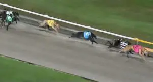 Cluster Wins QGOLD Winter Sprint