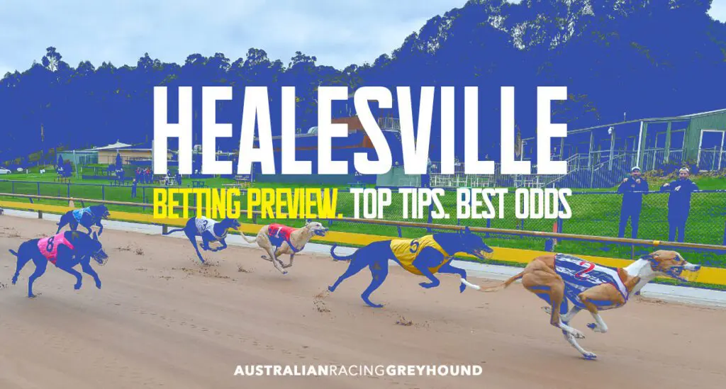 Healesville Greyhound Tips
