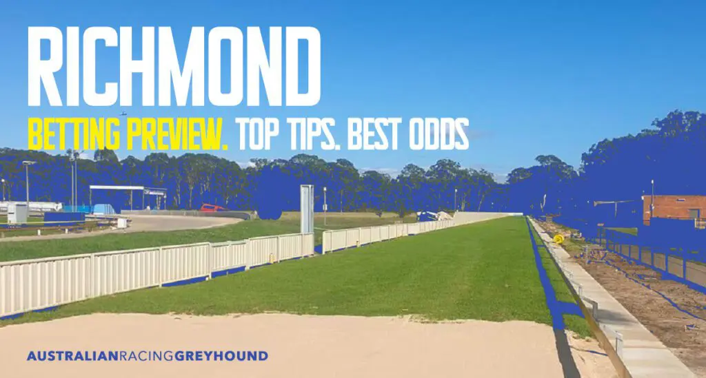 Richmond Straight Greyhound Tips