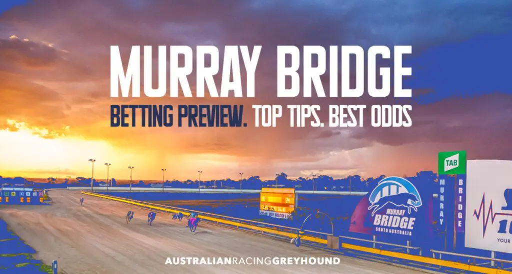 Murray Bridge greyhound tips