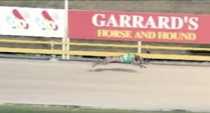 Excavation favourite in the Brisbane Cup Final