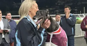 Mackenna State of Origin Victory