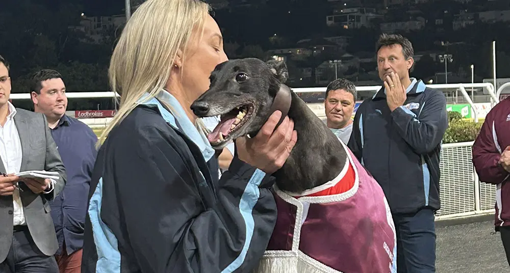 Mackenna State of Origin Victory 