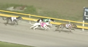 Uncle Tommy claims Flying Amy Classic in thrilling finish