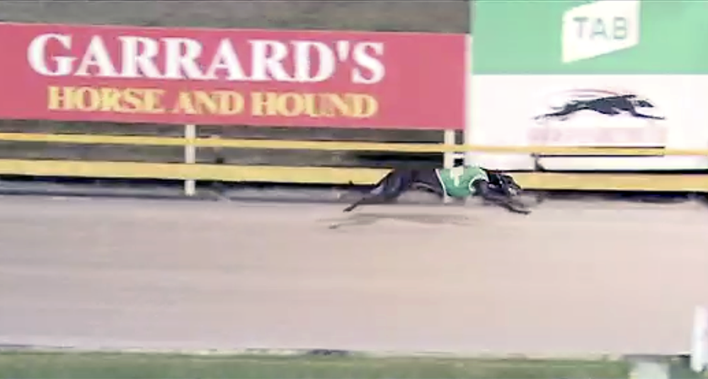 Explicit Brisbane Cup