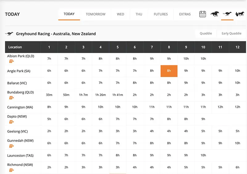 neds.com.au apps provides a top-notch greyhound racing service 