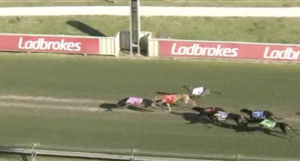 NSW National Straight Track Championship Final Stadium