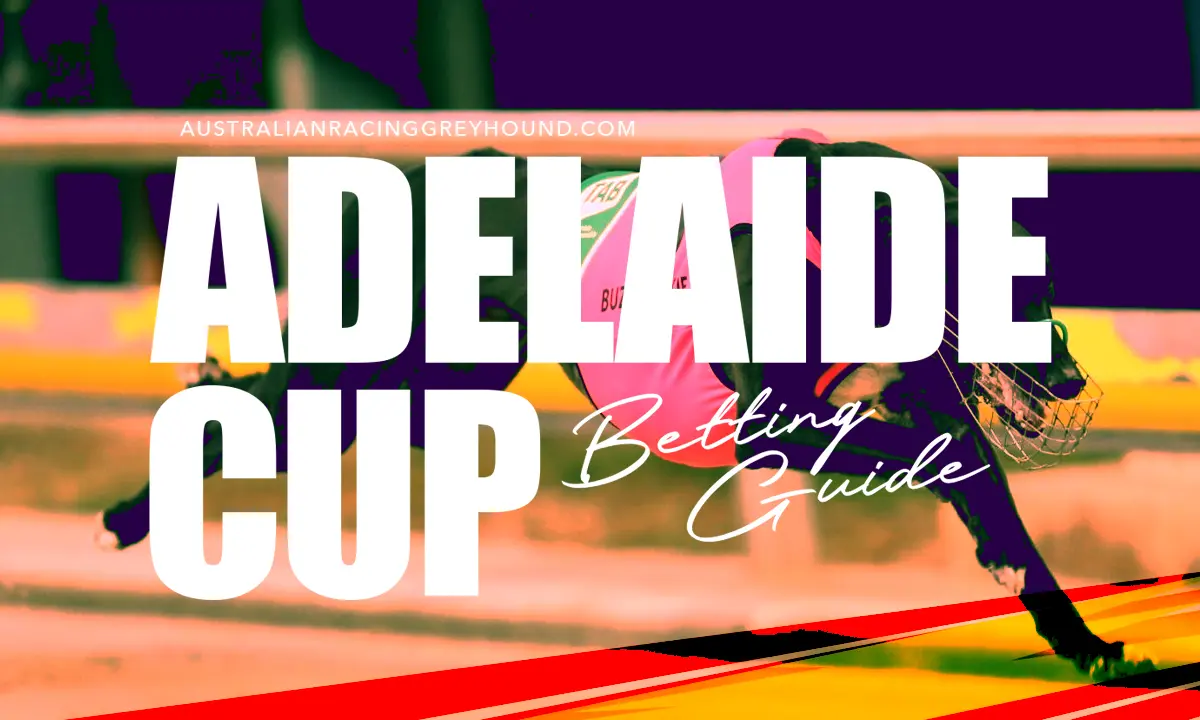Adelaide Cup betting and tips Adelaide Cup Betting