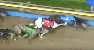 Canya All Class Topgun Stayers Final