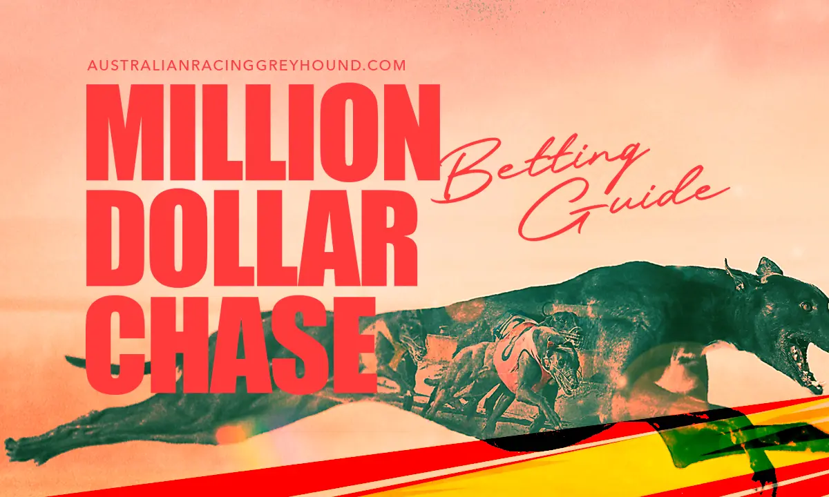 Million Dollar Chase betting